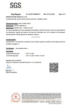 SGS Test Report