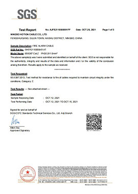 SGS Test Report